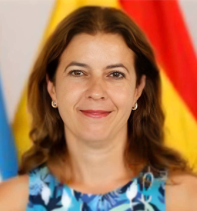 Isabel León Villalobos Viceconsejera de Empleo GOBIERNO DE CANARIAS